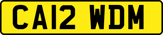 CA12WDM