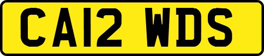 CA12WDS