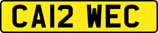 CA12WEC