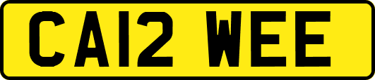 CA12WEE