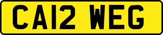 CA12WEG
