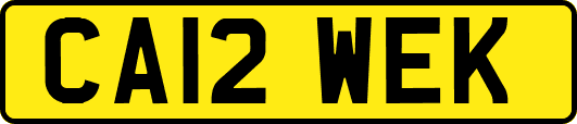 CA12WEK