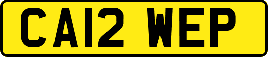 CA12WEP