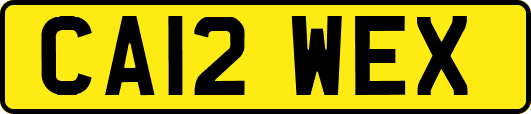 CA12WEX