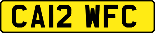 CA12WFC