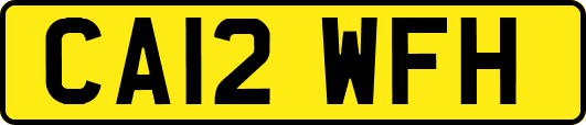 CA12WFH