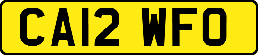 CA12WFO