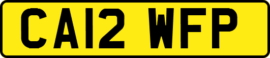 CA12WFP