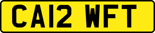CA12WFT