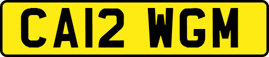 CA12WGM