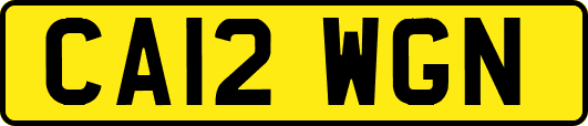 CA12WGN