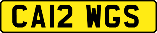 CA12WGS