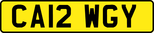 CA12WGY