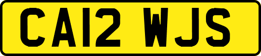 CA12WJS