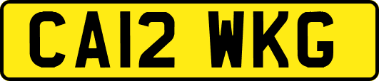 CA12WKG