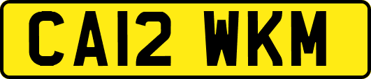 CA12WKM