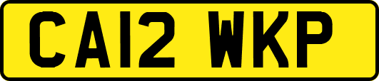 CA12WKP