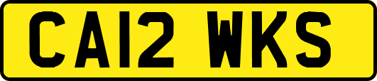 CA12WKS