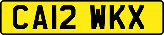CA12WKX