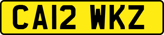 CA12WKZ