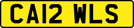 CA12WLS