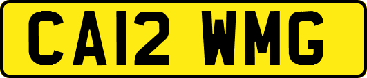 CA12WMG