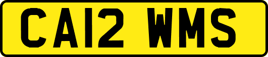 CA12WMS