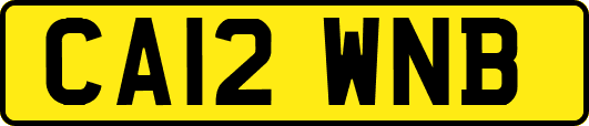 CA12WNB