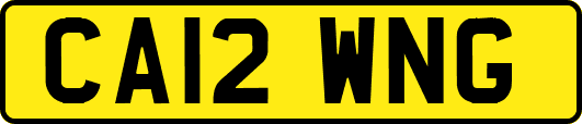 CA12WNG