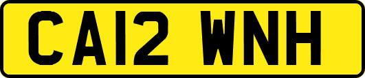CA12WNH