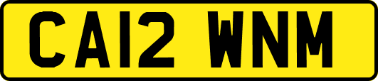 CA12WNM