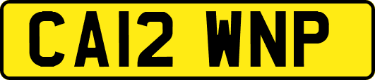 CA12WNP