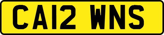 CA12WNS