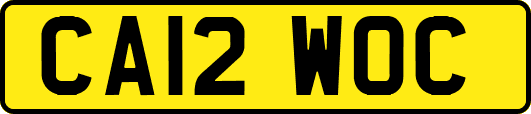 CA12WOC
