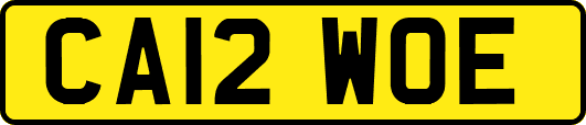 CA12WOE