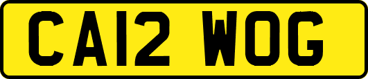 CA12WOG