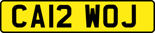 CA12WOJ