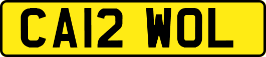 CA12WOL