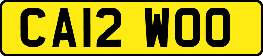 CA12WOO