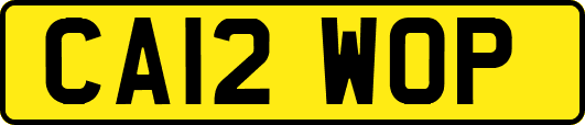 CA12WOP