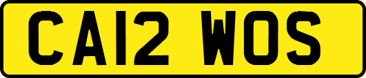 CA12WOS