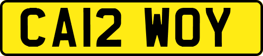 CA12WOY