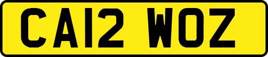 CA12WOZ