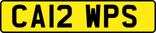 CA12WPS