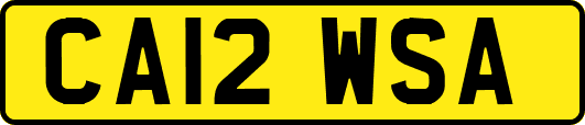 CA12WSA