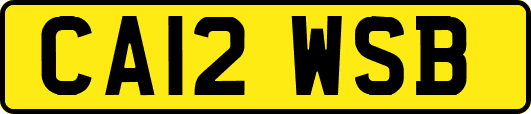 CA12WSB