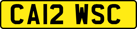 CA12WSC