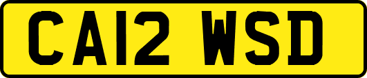 CA12WSD