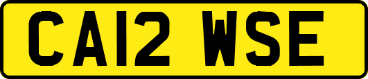 CA12WSE