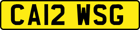 CA12WSG